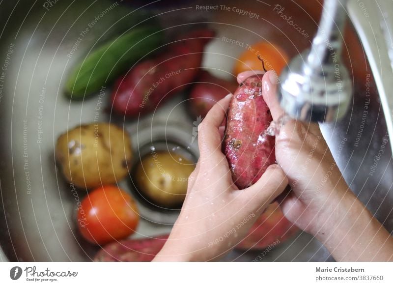 Draufsicht auf eine Frau, die frisches Gemüse in der Spüle wäscht häusliches Leben Gemüse waschen Küchenspüle Hygiene heimwärts Person Hausfrau Kochen