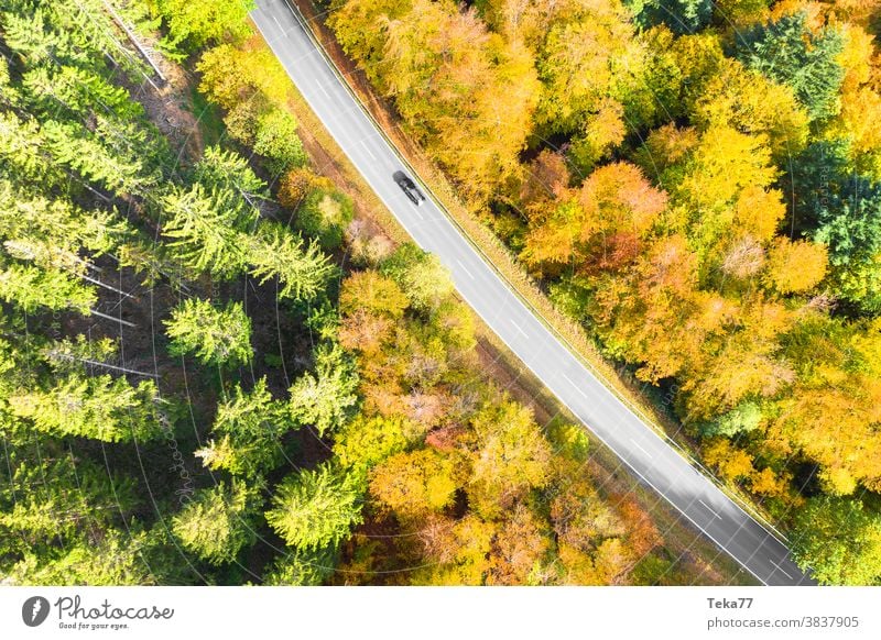 eine herbstliche Waldstraße mit einem von oben heruntergelassenen Autodach Straße von oben Auto auf einer Straße PKW schnelles Auto Straße von oben nach unten