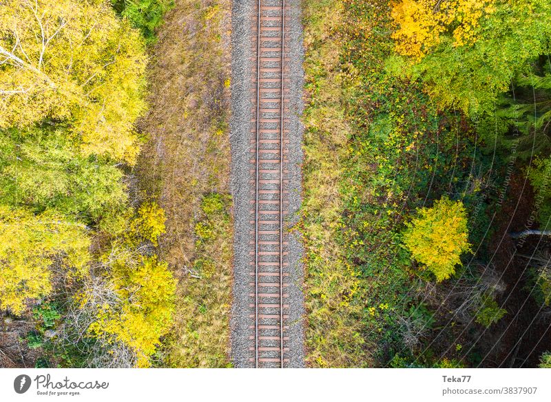 Zug Gleise im Wald von oben nach unten Zugnägel Spuren Bahn von oben Zuggleis von oben erst Herbstwald Verkehr einsam allein leere Spur