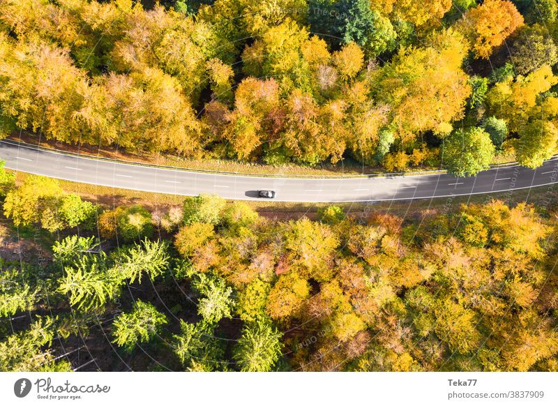 eine herbstliche Waldstraße mit einem von oben heruntergelassenen Autodach Straße von oben Auto auf einer Straße PKW schnelles Auto Straße von oben nach unten