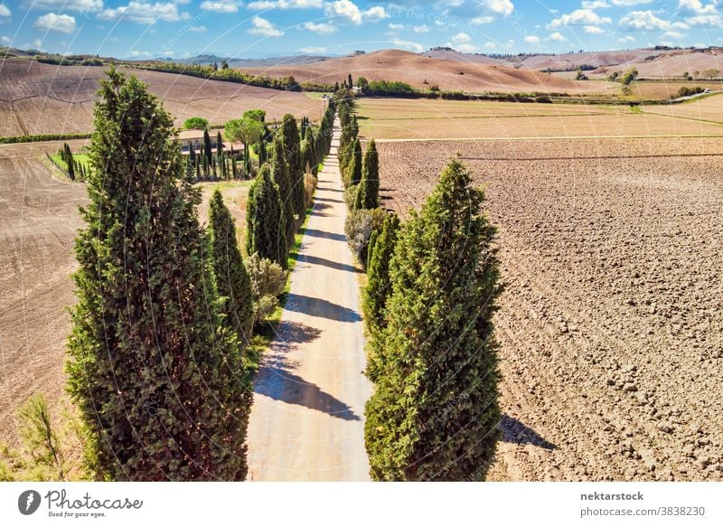 Landstraße in Siena Toskana mit toskanischen Zypressen Straße Baum Italien Ackerbau Feld ländlich Landschaft Ackerland weniger befahrene Straße sonnig Sommer