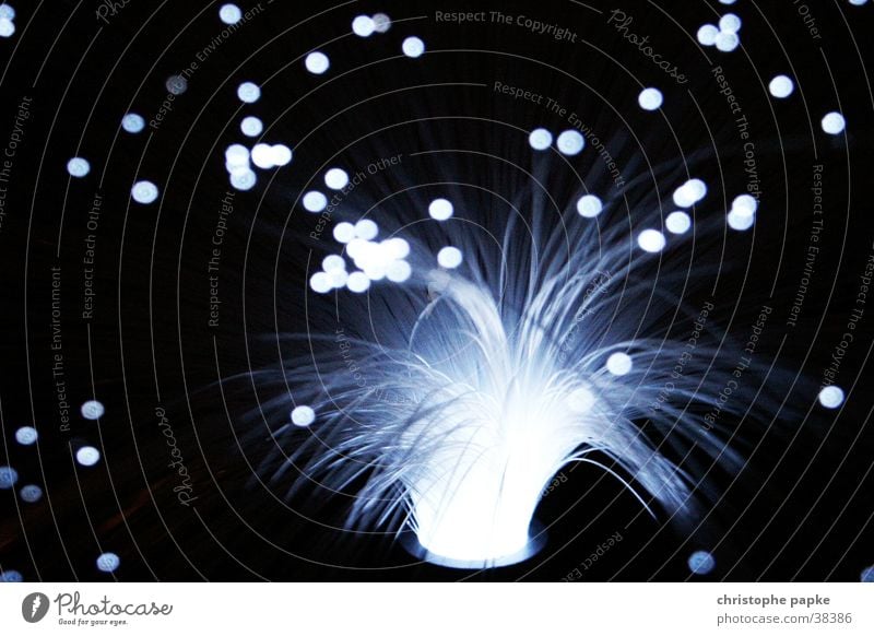 Nahaufnahme einer leuchtenden Glasfaser-Lampe Licht Geschwindigkeit Technik & Technologie DSL Dekoration & Verzierung glänzend Daten dunkel Lichtpunkt