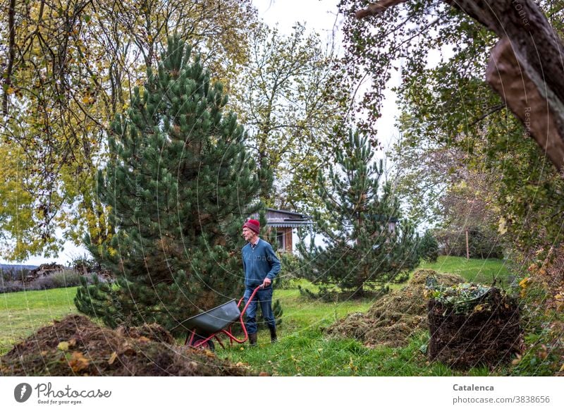 Mann mit Schubkarre  bei der Gartenarbeit im Herbst Komposthaufen Blätter Wandel& Veränderung Vegetation Pflanzen Flora Natur Gras verrotten Kiefern Wiese laub