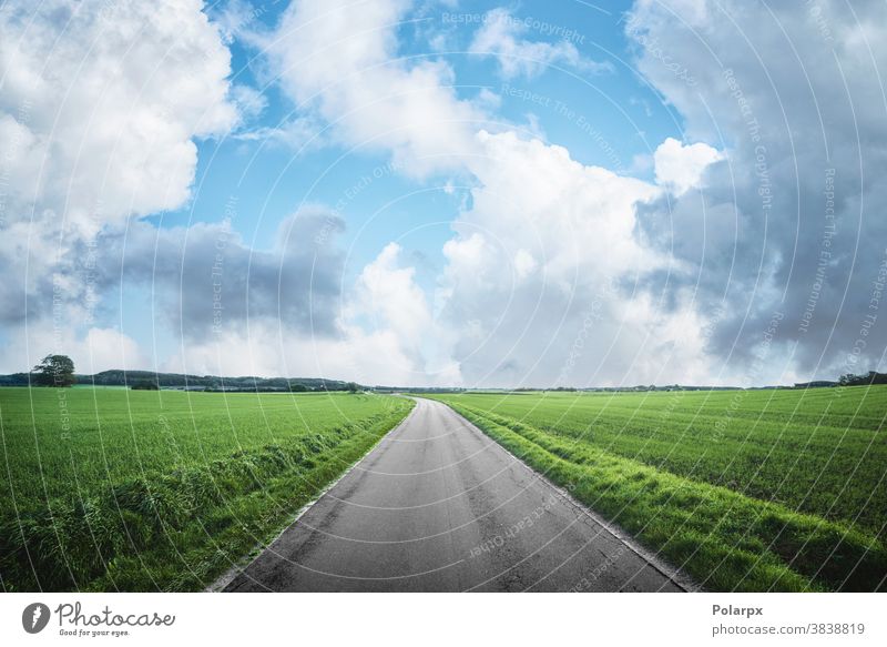 Asphaltstraße in einer ländlichen Landschaft Bewegung Transport Ebene sonnig Frühling Wolken Freiheit Perspektive Flucht Bild Straßenrand Abenteuer Fotografie