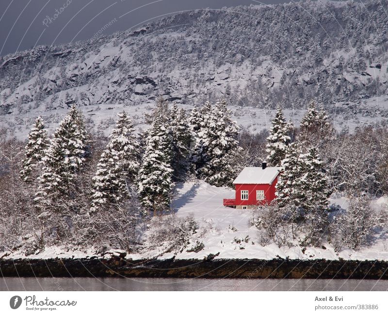 Einsames Häuschen Kreuzfahrt Sonne Berge u. Gebirge Haus Landschaft Winter Schönes Wetter Schnee Baum Wald Küste hell rot friedlich Einsamkeit Idylle besinnlich