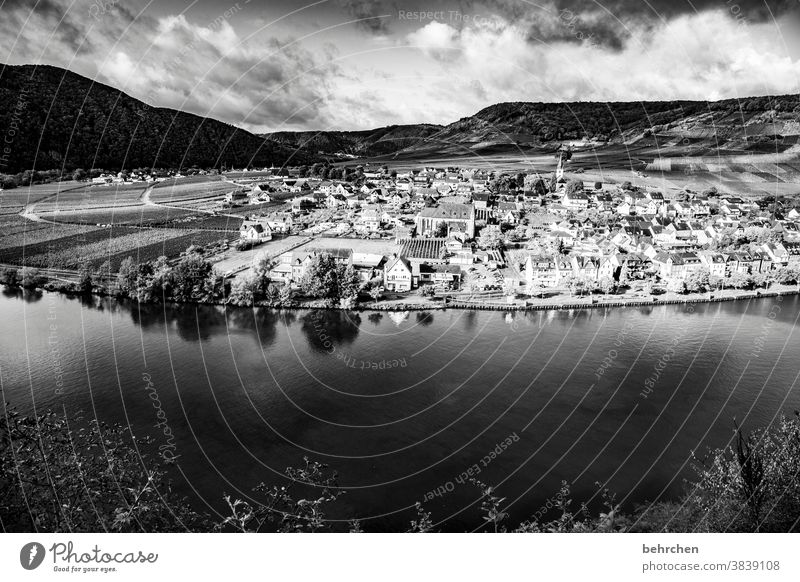 wein stadt fluss Wasser Sonnenlicht Jahreszeiten herbstlich Herbst Hunsrück Rheinland-Pfalz Flussufer Mosel (Weinbaugebiet) Moseltal Ruhe Idylle Abenteuer