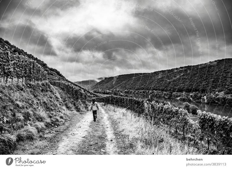 grau in grau | wandern im regen dunkel dramatisch Schwarzweißfoto Ferien & Urlaub & Reisen Wald Himmel Wolken Umwelt Berge u. Gebirge Landschaft Natur