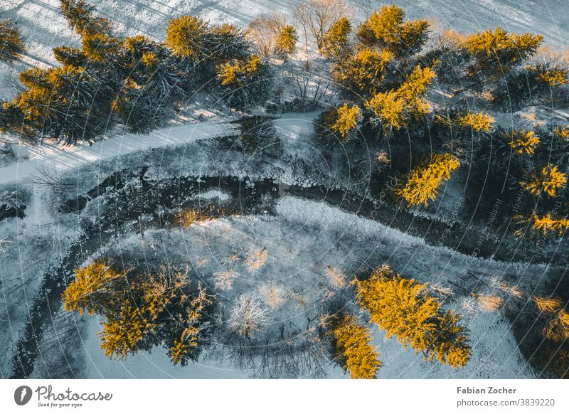 Winterwald von oben Allgäu Bayern Berge Deutschland Drohne Europa Landschaftsaufnahmen Natur Schwangau Sonnenuntergang TopDown Wald Winter 2020 Winterwonderland