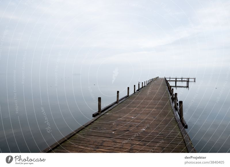 Ruhige See am Steinhuder Meer Landschaft Ausflug Natur Wanderung Umwelt wandern Pflanze Herbst Akzeptanz Vertrauen Glaube Naturerlebnis herbstlich Herbstlaub