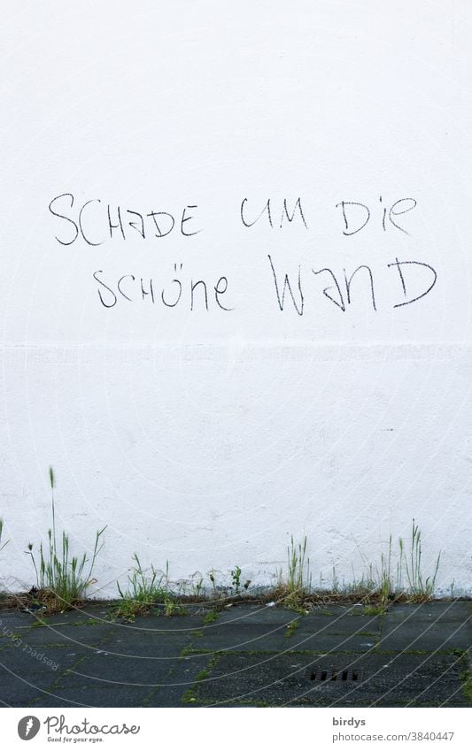 zynische Aufschrift auf einer weißen Hauswand , "schade um die schöne Wand" Provokation Schriftzeichen lustig Vandalismus frisch frisch gestrichen sauber Gehweg