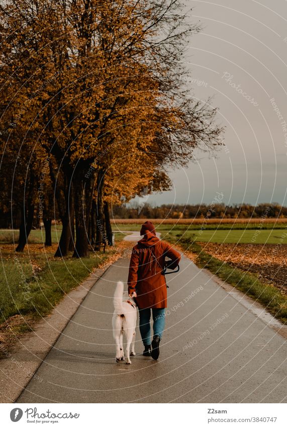 Junge Frau beim Gassi gehen mit weißem Schäferhund gassi gehen schäferhund spazieren zuneigung erziehung rot mütze herbst feld natur ländlich sitzen leine brav