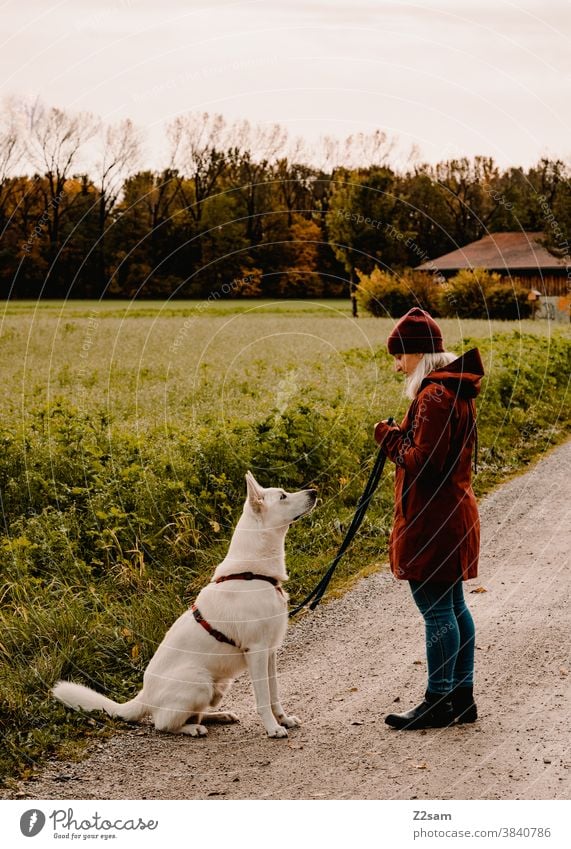 Junge Frau beim Gassi gehen mit weißem Schäferhund gassi gehen schäferhund spazieren zuneigung erziehung rot mütze herbst feld natur ländlich sitzen hundeschule