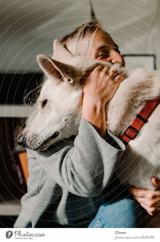 junge Frau spielt mit ihrem Hund Schäferhund weiß Zuneigung Liebe Haustier Kuscheln Streicheln Spielen Freundschaft Zusammensein Glück Farbfoto Tier niedlich