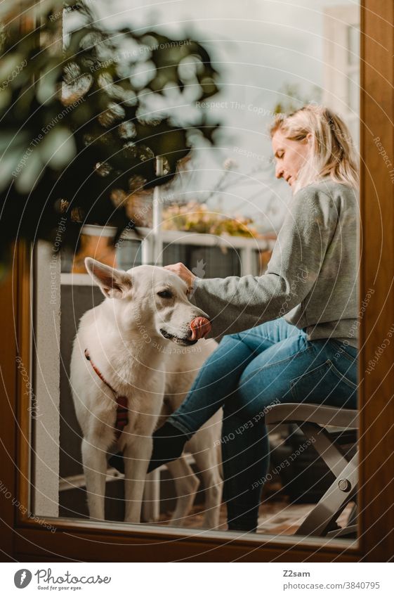 Junge Frau mit weißem Schäferhund auf dem Balkon schäferhund zuneigung liebe haustier junge frau blond hübsch zuhause balkon wohnung natur sommer sonne wärme