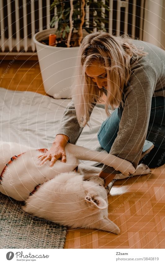 Junge Frau spielt mit ihrem Hund hund schäferhund weiß zuneigung Liebe haustier Kuscheln streicheln spielen Freundschaft Zusammensein Glück Farbfoto Haustier