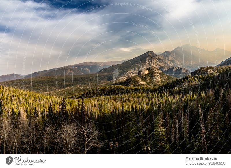 Rockyn Mountain summt mit Rauch von Waldbränden und darunter liegendem Wald Gipfel Rocky Mountain National Park Berge u. Gebirge reisen Colorado wandern Natur