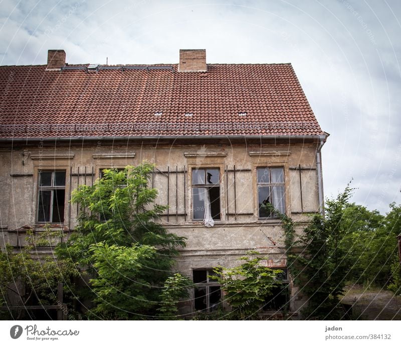 alles nur fassade | ganz natürlich Häusliches Leben Wohnung Haus Traumhaus Hausbau Renovieren Natur Pflanze Baum Sträucher Efeu Grünpflanze Garten Ruine Bauwerk