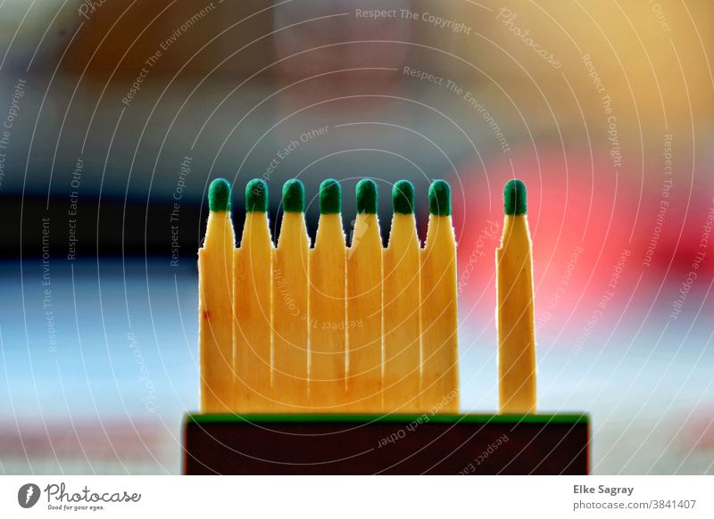 Streichhölzer ....der erste ist verbrannt Farbfoto Makroaufnahme Menschenleer grün Streichholz Holz Hintergrund neutral stehen Zusammenhalt Textfreiraum oben