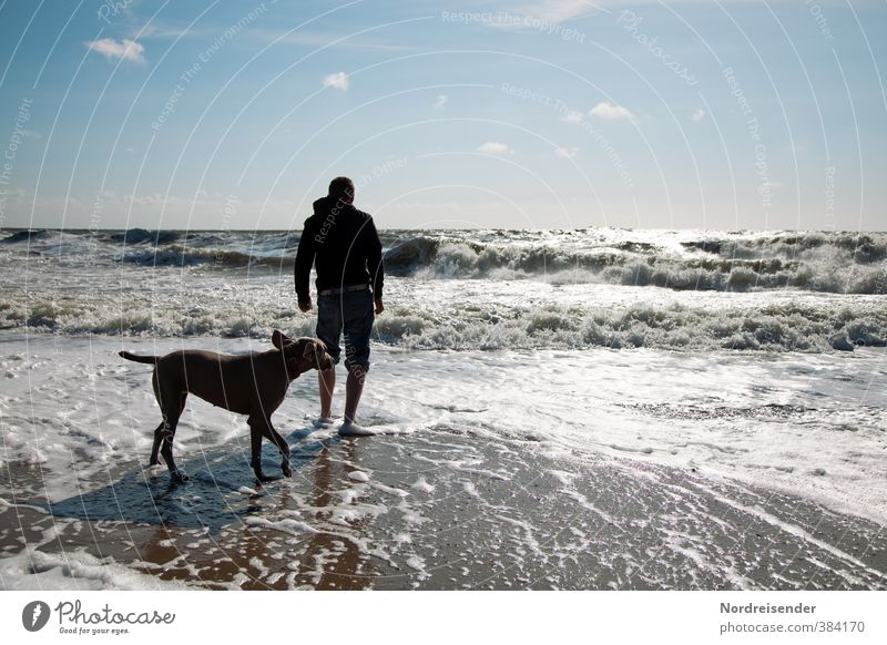 Brandung Lifestyle Freude Leben harmonisch Ferien & Urlaub & Reisen Ferne Sommer Sommerurlaub Strand Meer Wellen Mensch Mann Erwachsene Urelemente