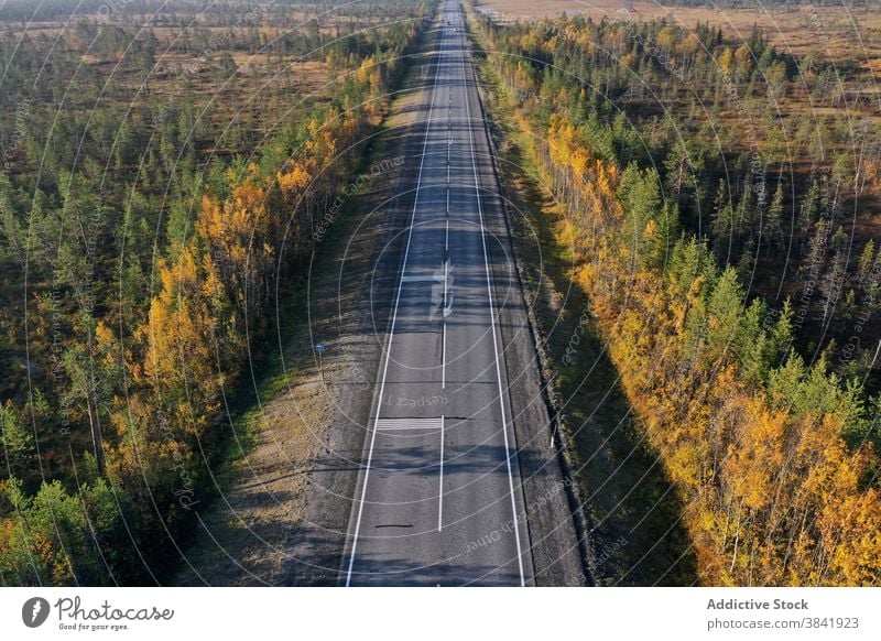 Erstaunlicher Blick auf die Straße durch das Tal Fahrbahn Herbst Baum Landschaft erstaunlich Kurve Weg Natur malerisch Umwelt fallen Saison Wald Ausflugsziel