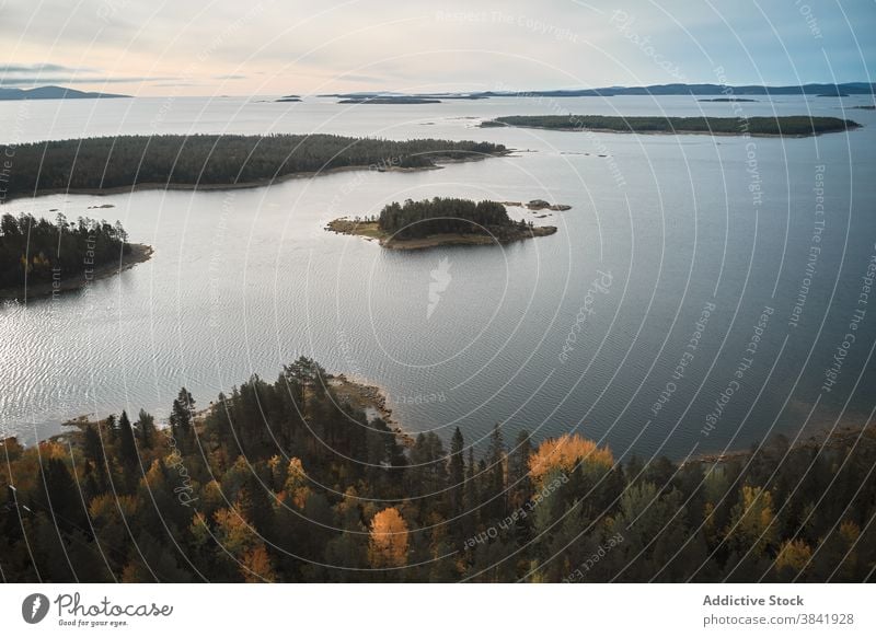 Erstaunlich üppige Halbinsel im blauen Meer MEER Meereslandschaft Landschaft erstaunlich Wasser Natur prunkvoll farbenfroh idyllisch grün malerisch ruhig Umwelt