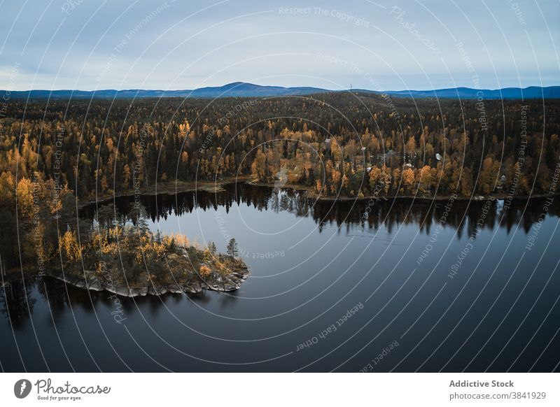 Erstaunlich üppige Halbinsel im blauen Meer MEER Meereslandschaft Landschaft erstaunlich Wasser Natur prunkvoll farbenfroh idyllisch grün malerisch ruhig Umwelt