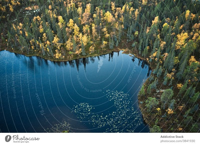 Erstaunlich üppige Halbinsel im blauen Meer MEER Meereslandschaft Landschaft erstaunlich Wasser Natur prunkvoll farbenfroh idyllisch grün malerisch ruhig Umwelt