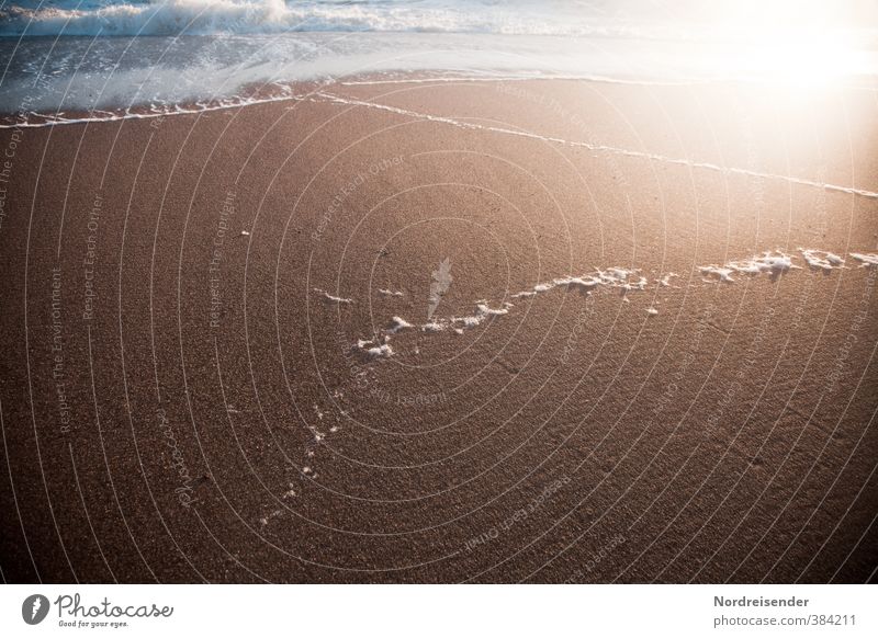 Licht Leben harmonisch Sinnesorgane Duft Sommer Sommerurlaub Sonne Strand Meer Urelemente Sand Wasser Wind Küste Wege & Pfade Erholung nass blau braun