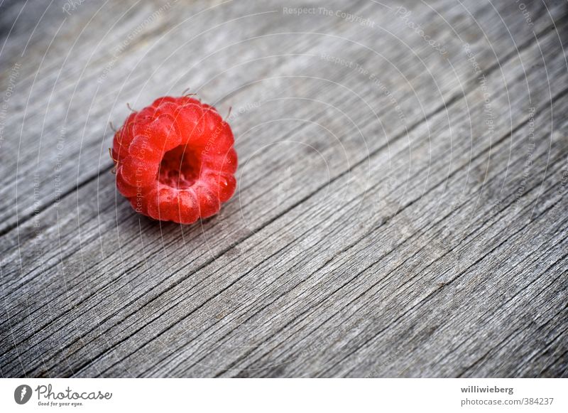 Himbeere auf Holztisch Lebensmittel Frucht Himbeeren Diät frisch Gesundheit Tisch Farbfoto Außenaufnahme Detailaufnahme Makroaufnahme Textfreiraum rechts