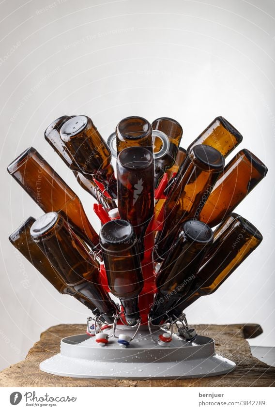 Trocknen gewaschener Bierflaschen Waschen Ständer Flaschenständer Trocken Stand Brauen braun Erfrischung Glas Getränk weiß transparent brauen Nahaufnahme