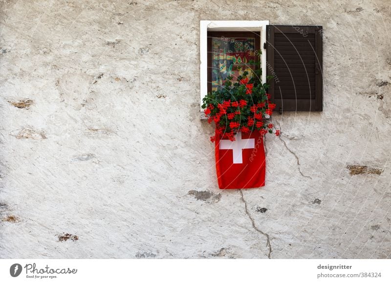 raushängen lassen Pflanze Blume Topfpflanze Blumentopf Blumenkasten Pelargonie Kanton Tessin Schweiz Haus Einfamilienhaus Hütte Bauwerk Gebäude Architektur