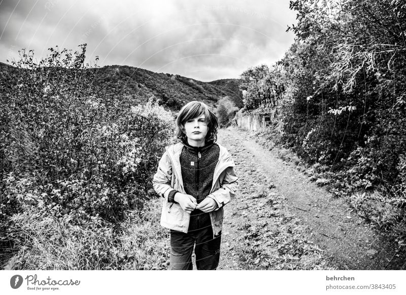 reicht es nicht, wenn du die landschaft fotografierst? Weinberg herbstlich Jahreszeiten Herbst Regen Sohn Kindheit Wanderer Hunsrück Moseltal