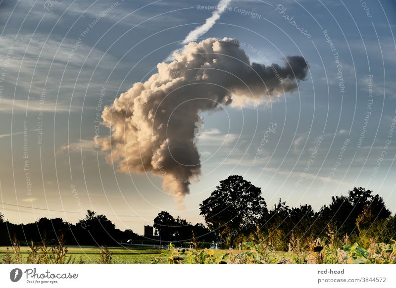 dramatische Wolke vom Kühlturm mit Seitenlicht, blauem Himmel und abendlicher Landschaft Flaschengeist lebendig Bäume HImmel magisch Gewitterwolke Silhouette