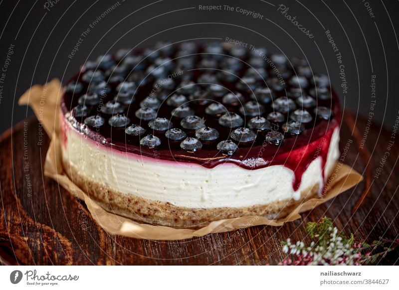 Cheesecake mit Heidelbeeren cheesecake käsekuchen Käsekuchen-Torte Kuchen Studiolicht Studioaufnahme Farbfoto Essen Blaubeeren Vegane Ernährung Foodfotografie