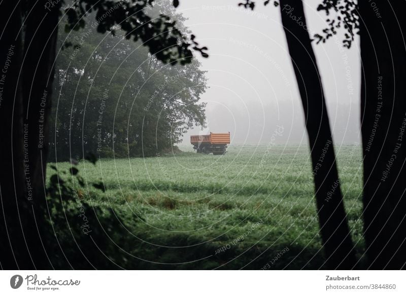 Wiese im Morgennebel mit Anhänger in orange Nebel Landwirtschaft Gras Morgendämmerung Natur Landschaft Herbst kühl Feld