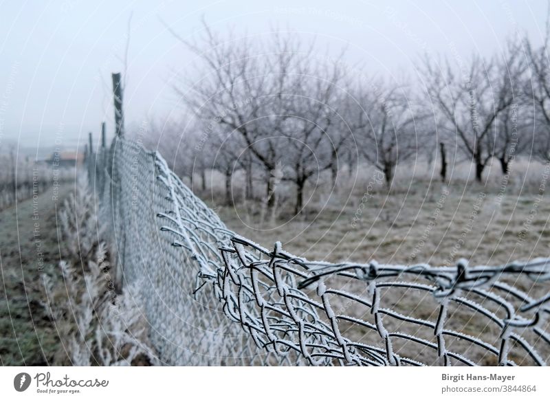 Landschaft mit Zaun im Winter Maschendrahtzaun Rauhreif Obstgarten Weingarten Winterlicht Landwirtschaft Nebellandschaft Kälte Frost tristesse einsam Einsamkeit