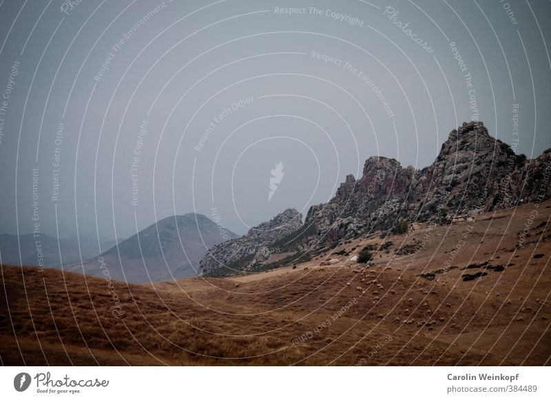 Ins Blaue. Natur Landschaft Pflanze Erde Sand Himmel Wolkenloser Himmel Sommer Klima Klimawandel Wärme Wiese Felsen Berge u. Gebirge Wüste Ifrane Marokko Afrika