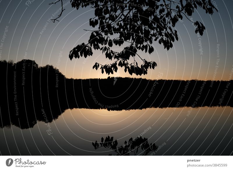 Herbst am See Sonnenuntergang Wasser Natur Landschaft Himmel Umwelt Abend Farbfoto Sonnenaufgang Außenaufnahme Baum Licht Gegenlicht Schönes Wetter Seeufer