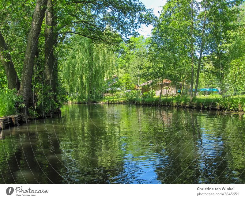 Kanu fahren im Spreewald an einem sonnigen Tag im Mai Wasser Maigrün Reflexion & Spiegelung blau Sonnenlicht verzaubert friedlich ruhig idyllisch Deutschland