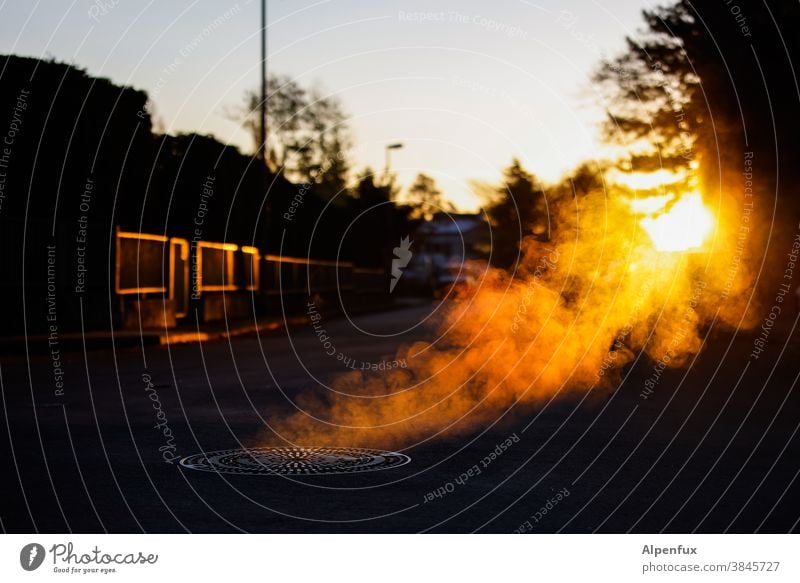 Goldflatulenz dampf ablassen Dunst Gully Herbst Außenaufnahme Rauch Dampf Verdunstung Menschenleer Sonnenaufgang Sonnenaufgang - Morgendämmerung Nebel Licht