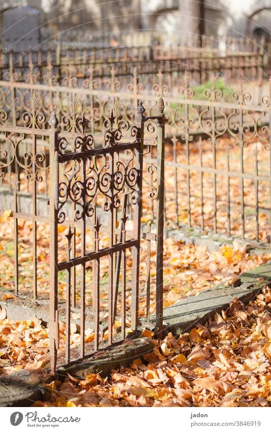 es gibt immer einen ausweg. Friedhof Grab Trauer Tod Vergänglichkeit Zaun umrandung Kunstschmiedearbeit laub rostiges Metall Grabmal Traurigkeit Menschenleer