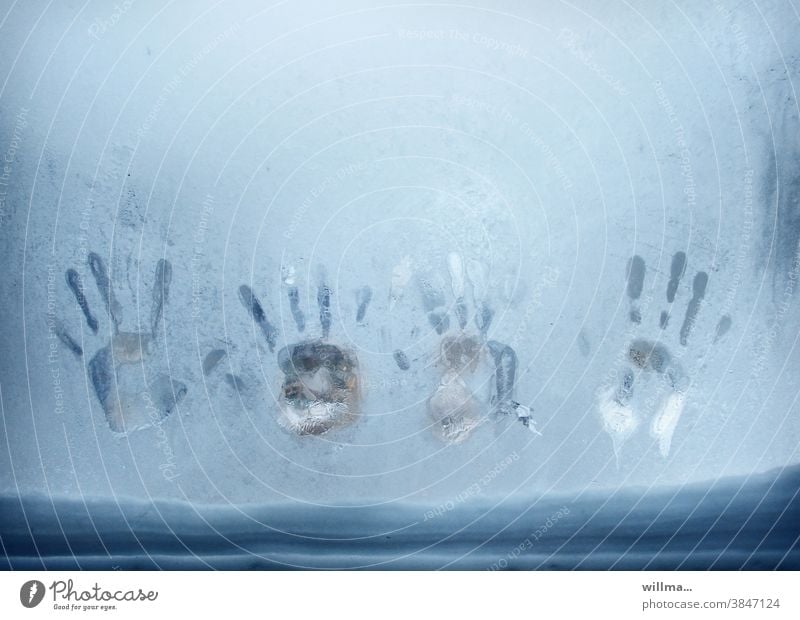 vorsicht kalt! Handabdruck Eisfenster Frost Fenster Winter gefroren vereist eisig Schnee winterlich Fensterscheibe Hände zugefroren