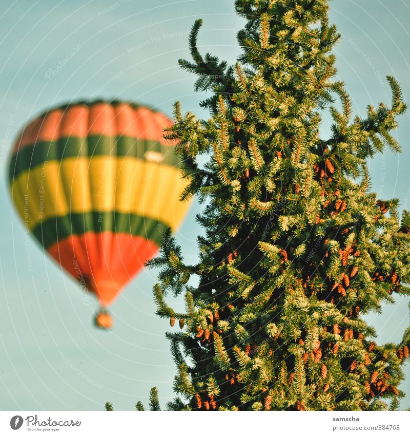 Über den Wolken Ferien & Urlaub & Reisen Tourismus Ausflug Abenteuer Ferne Freiheit Sommer Umwelt Natur Baum Ballone fliegen Luftballon Ballonfahrt Ballonkorb