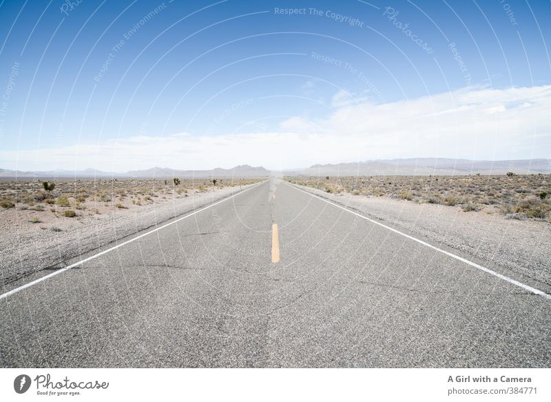 define horizon Umwelt Natur Landschaft Sand Sommer Dürre Hügel Wüste Straße lang Ferne Arizona USA Horizont Autobahn gerade heiß Gedeckte Farben Außenaufnahme