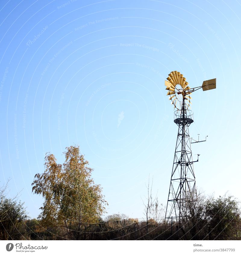 Spatzenkarussel Himmel sonnig Sonnenlicht Menschenleer skurril Perspektive Antenne weiterleiten messgerät windmesser baum horizont landschaft turm gold hoch