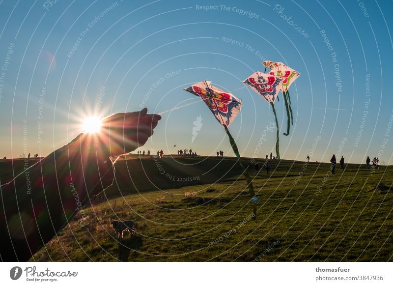 Drachensteigen bei untergehender Sonne Drachen steigen lassen Himmel Freizeit & Hobby Herbst Wind blau Freude Hand Sonntag Menschenmenge Windspiel