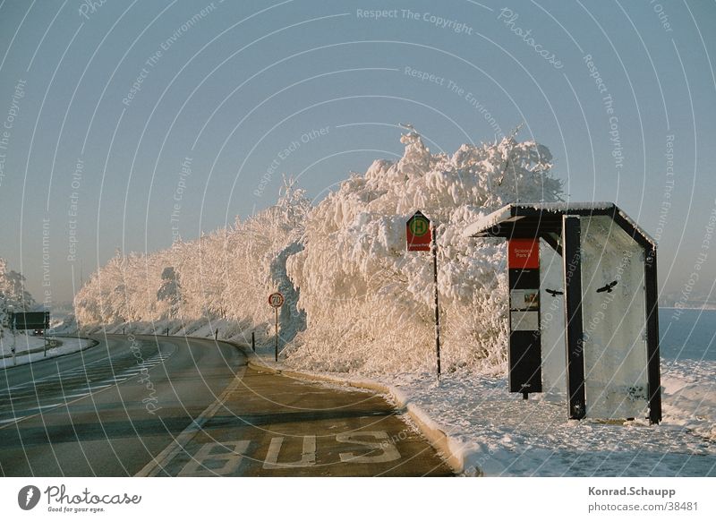 "Kaltestelle" Winter kalt Bushaltestelle Raureif Verkehr Station Schnee Straße