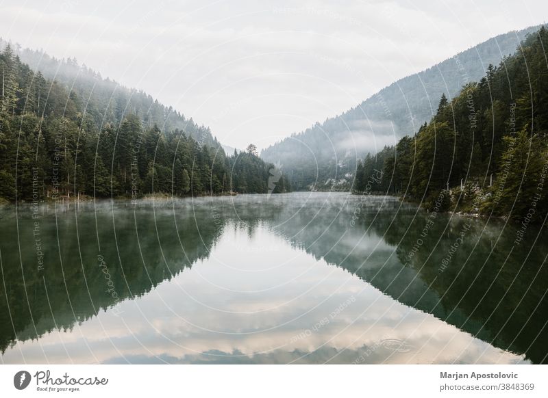 Nebliger Frühmorgen auf dem Bergsee Abenteuer Herbst schön Schönheit Wolken Landkreis Morgendämmerung entdecken früh Immergrün erkunden Nebel neblig Wald Dunst