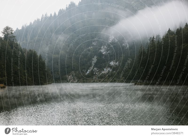 Nebliger Frühmorgen auf dem Bergsee Abenteuer Herbst schön Schönheit Wolken Landkreis Morgendämmerung entdecken früh Immergrün erkunden Nebel neblig Wald Dunst