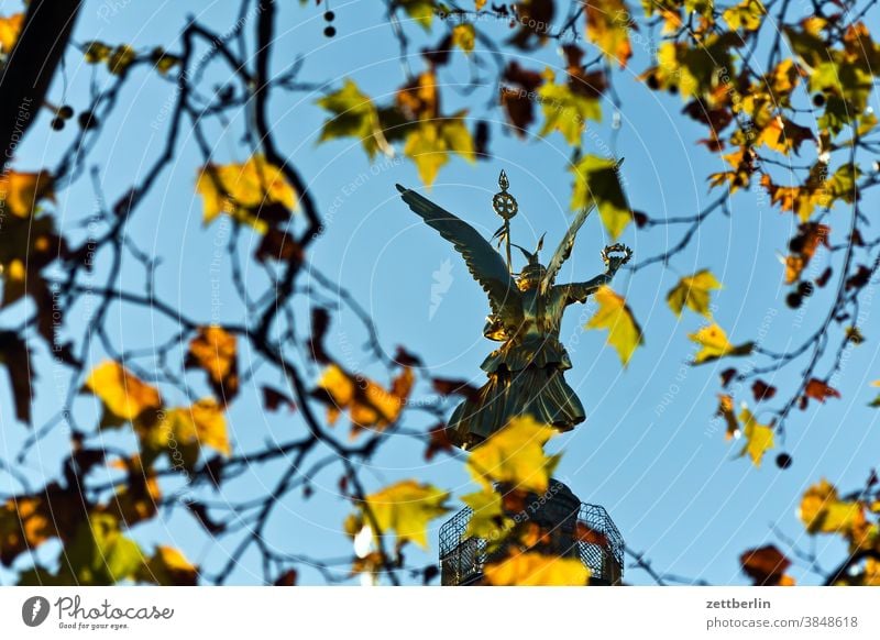 Siegessäule, Rückenansicht durch Herbstlaub abend baum berlin blattgold denkmal deutschland dämmerung else feierabend figur goldelse großer stern hauptstadt